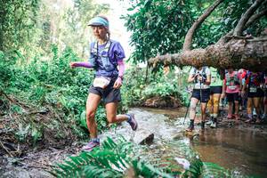 BIB: 
                            <button type="button" onclick="openModal(25514626)" class="btn btn-primary btn-sm float-right btn-popup" data-toggle="modal" data-target=".modal-high-quality">
                        <i class="fas fa-shopping-cart"></i> Add to Cart
                    </button>
                                            <button type="button" onclick="isThisMe(25514626, true)" class="btn btn-success btn-sm float-right btn-popup btn-isme hidden" data-toggle="tooltip" data-placement="bottom" title="นี่คือรูปของคุณใช่ไหม คลิกที่นี่เพื่อเอาเข้าอัลบั้ม">
                        <i class="fas fa-plus"></i> Add to album
                    </button>
                    <button type="button" onclick="isThisMe(25514626, false)" class="btn btn-warning btn-sm float-right btn-popup btn-isnotme hidden">
                        <i class="fas fa-ban"></i> Remove from album
                    </button>